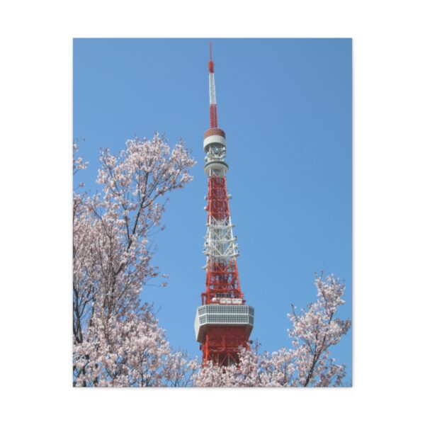 Tokyo Tower in Spring - Canvas Gallery Wraps - Image 29