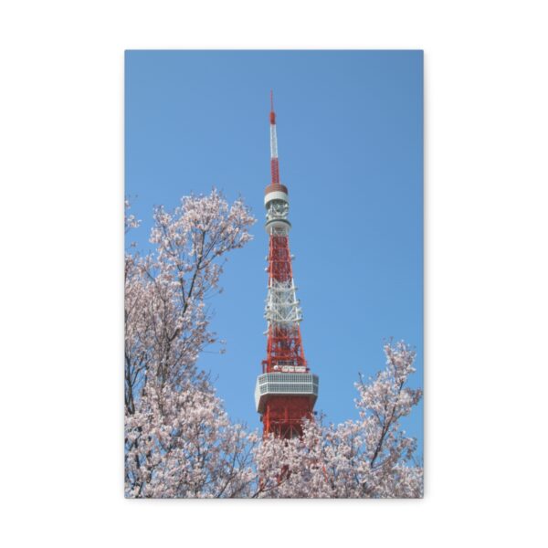Tokyo Tower in Spring - Canvas Gallery Wraps - Image 36