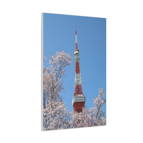 Tokyo Tower in Spring - Canvas Gallery Wraps - Image 3